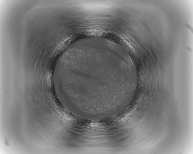 X0000093460641200711021135