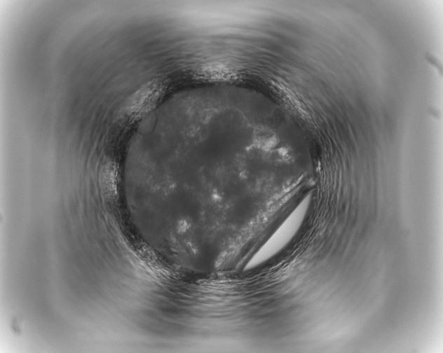 X0000093460643200711021135