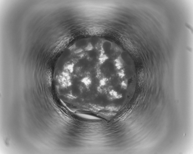 X0000093460644200711021135