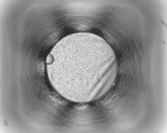 X0000093460646200711021135