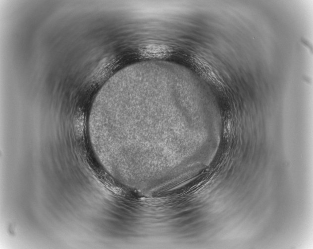 X0000093460647200711021135