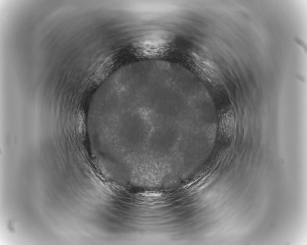 X0000093460651200711021135