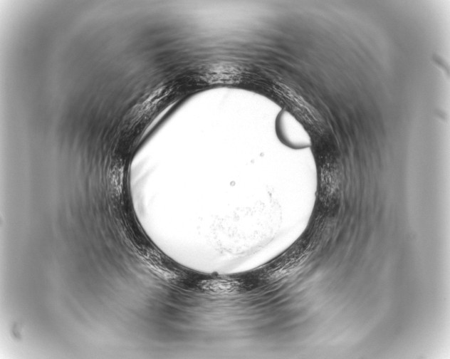 X0000093460652200711021135