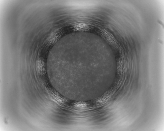 X0000093460653200711021135