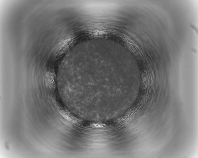 X0000093460654200711021135