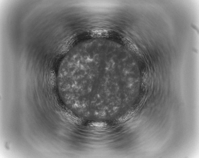 X0000093460659200711021135