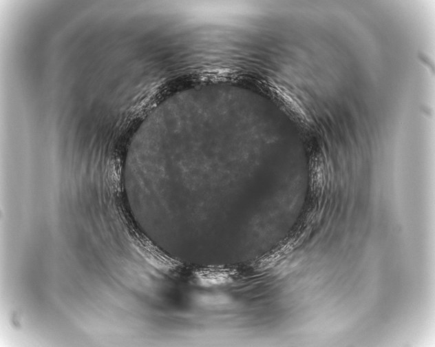 X0000093460661200711021135