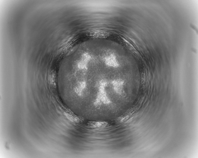 X0000093460663200711021135