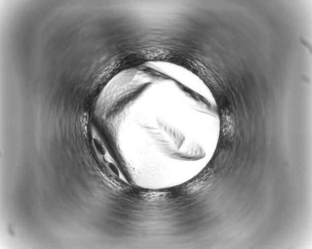 X0000093460664200711021135