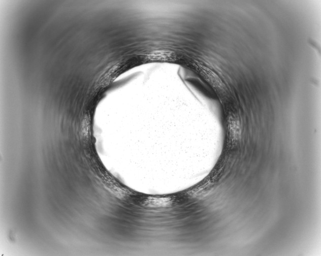 X0000093460665200711021135