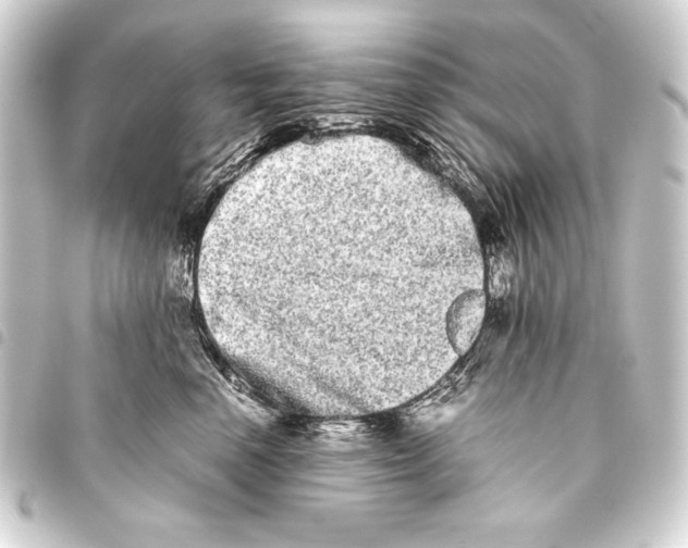 X0000093460666200711021135