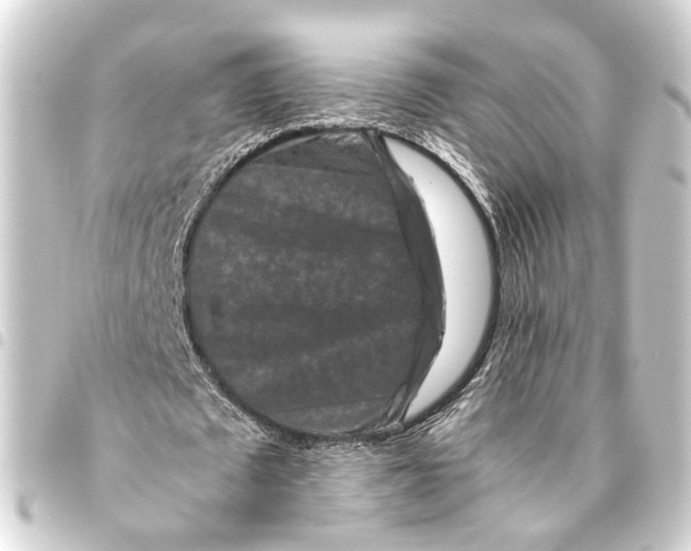 X0000093460673200711021135