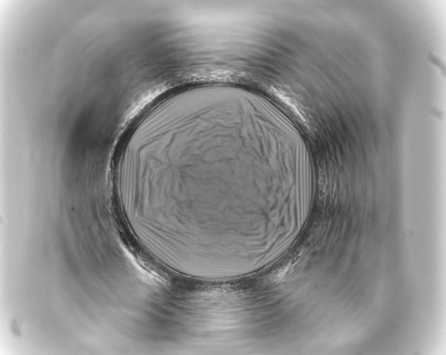 X0000093460674200711021135