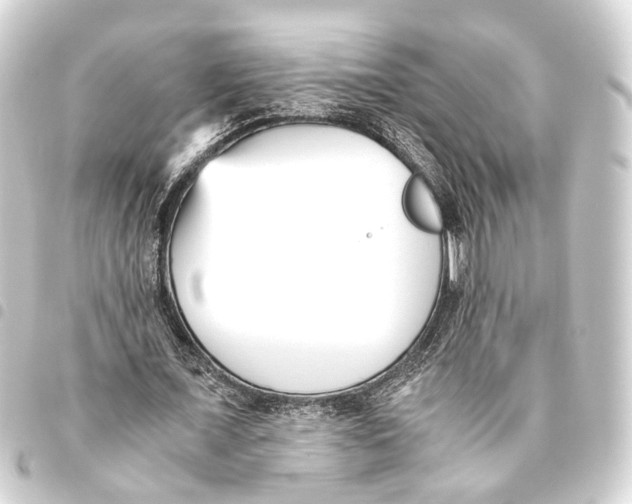 X0000093460675200711021135