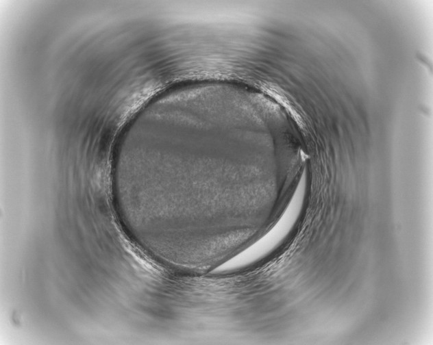 X0000093460677200711021135