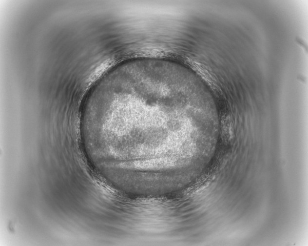 X0000093460679200711021135