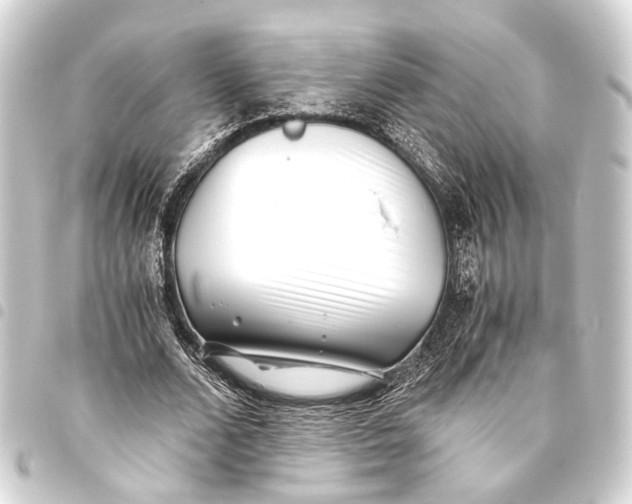 X0000093460680200711021135