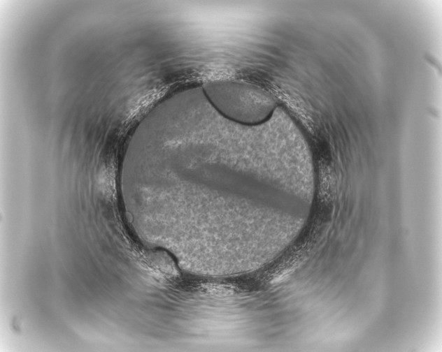 X0000093460681200711021135