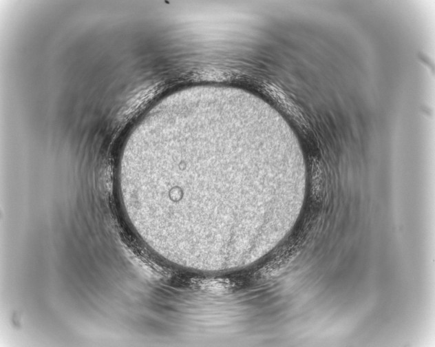 X0000093460683200711021135