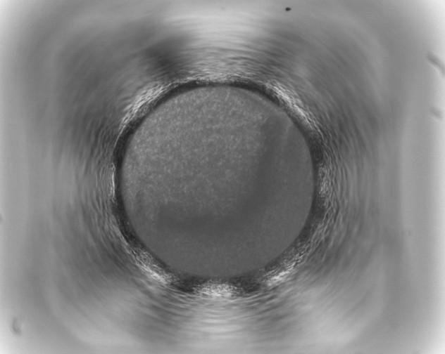 X0000093460685200711021135