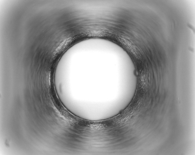 X0000093460686200711021135