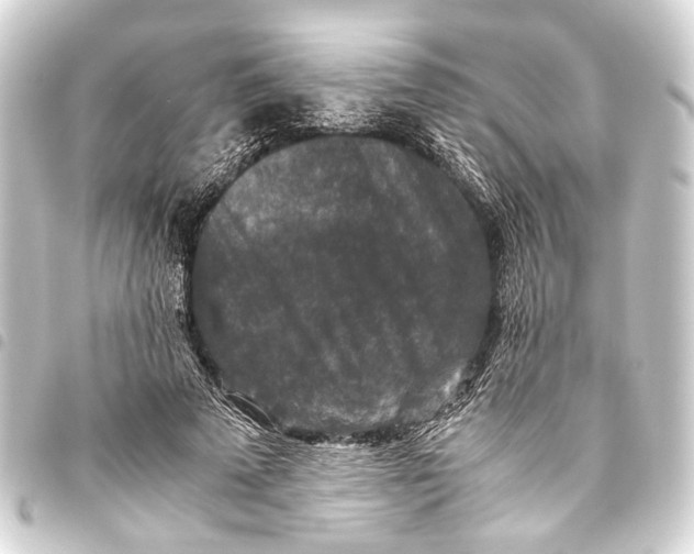 X0000093460689200711021135