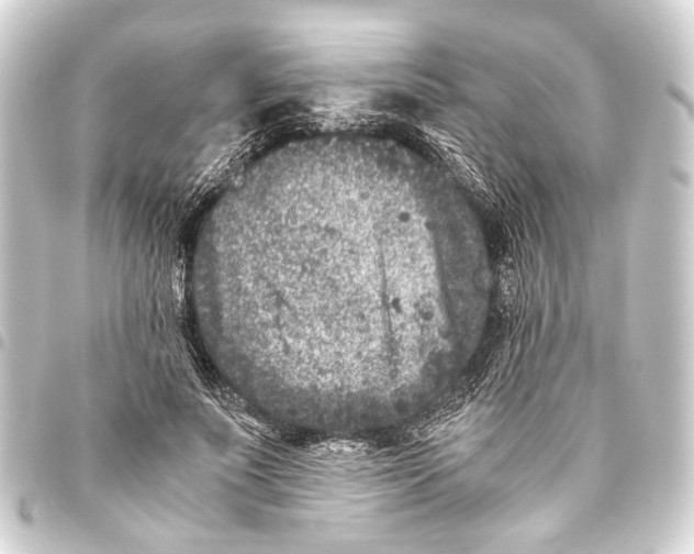 X0000093460691200711021135