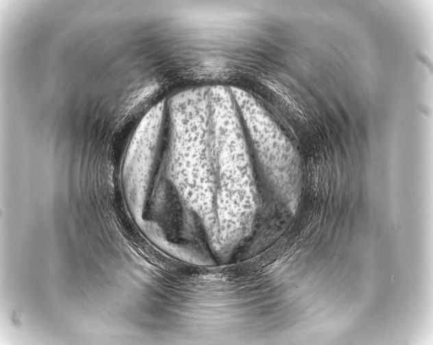 X0000093460692200711021135