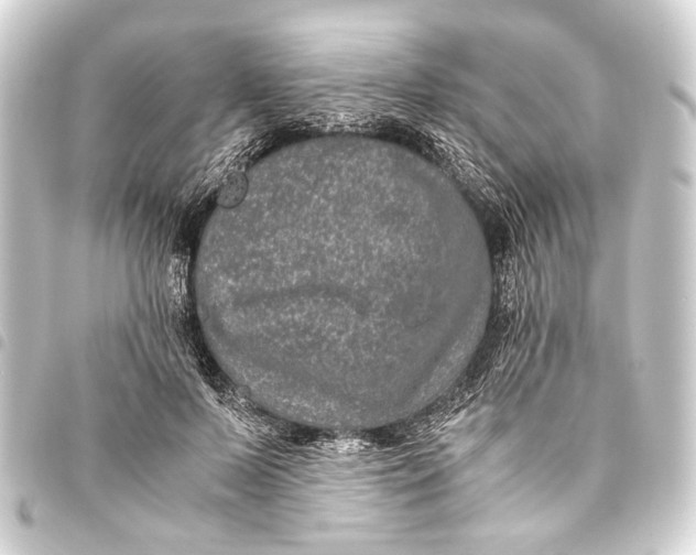 X0000093460695200711021134