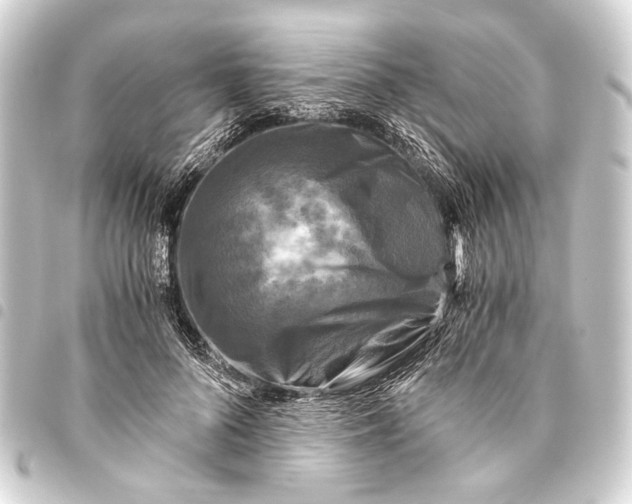 X0000093460696200711021134