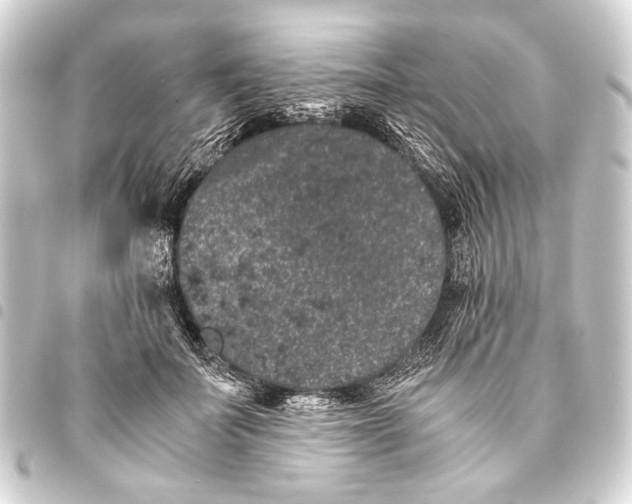 X0000093460699200711021134