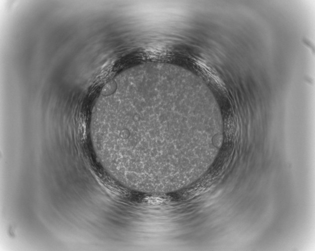 X0000093460703200711021134