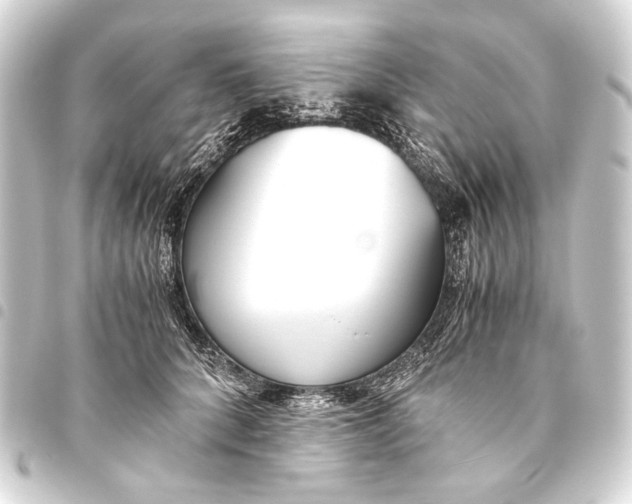 X0000093460704200711021134