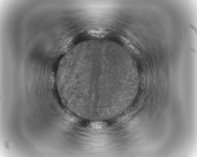 X0000093460707200711021134