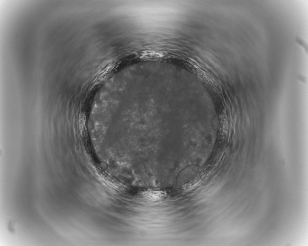 X0000093460711200711021134