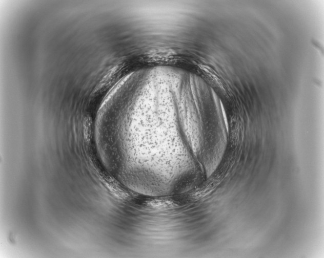 X0000093460712200711021134