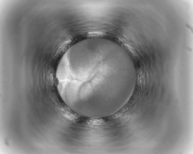 X0000093460716200711021134