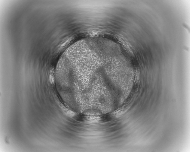 X0000093460719200711021134