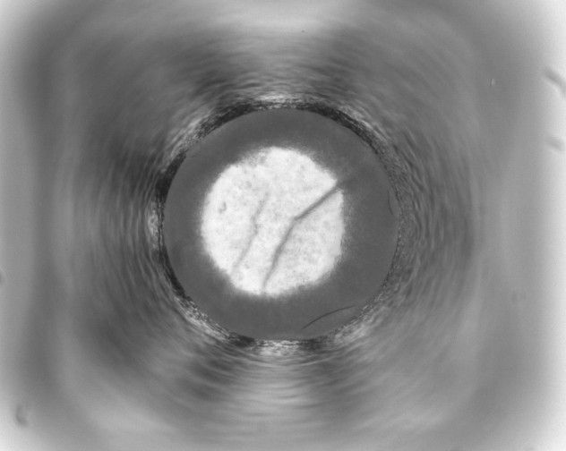 X0000093460720200711021134