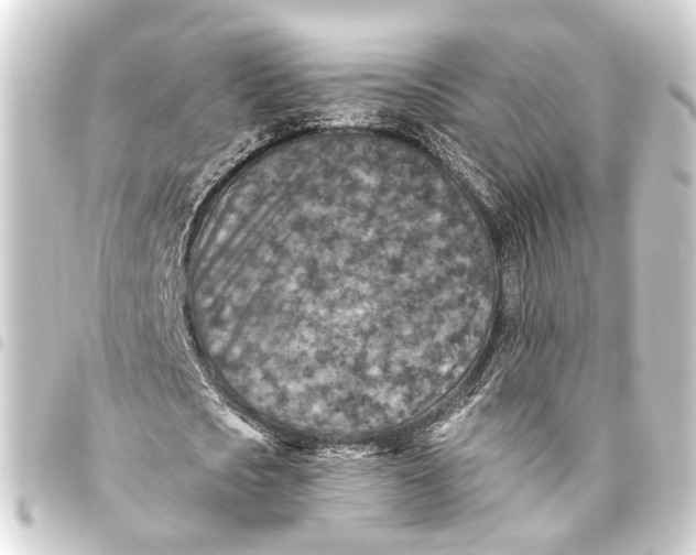 X0000093460721200711021133