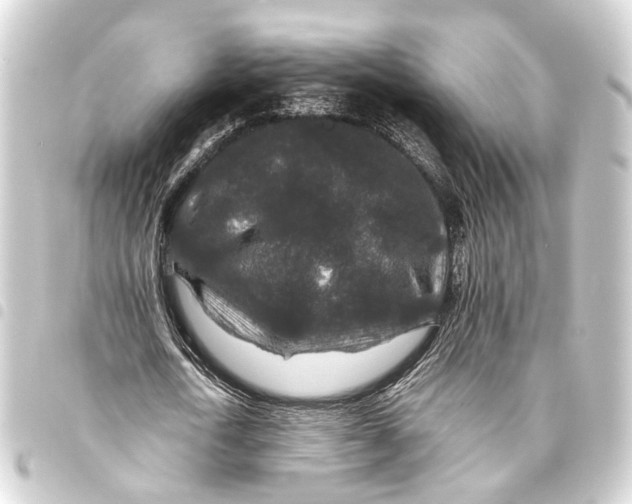 X0000093460722200711021133