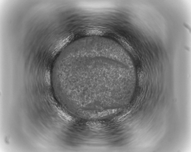 X0000093460729200711021134