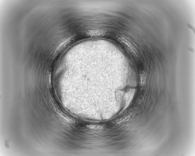 X0000093460733200711021134