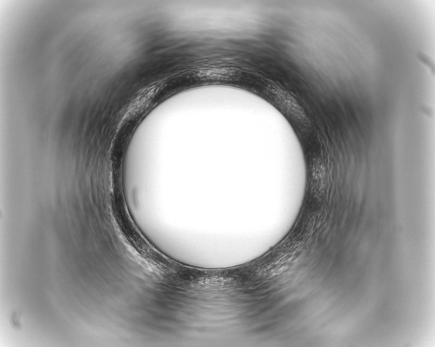 X0000093460734200711021134