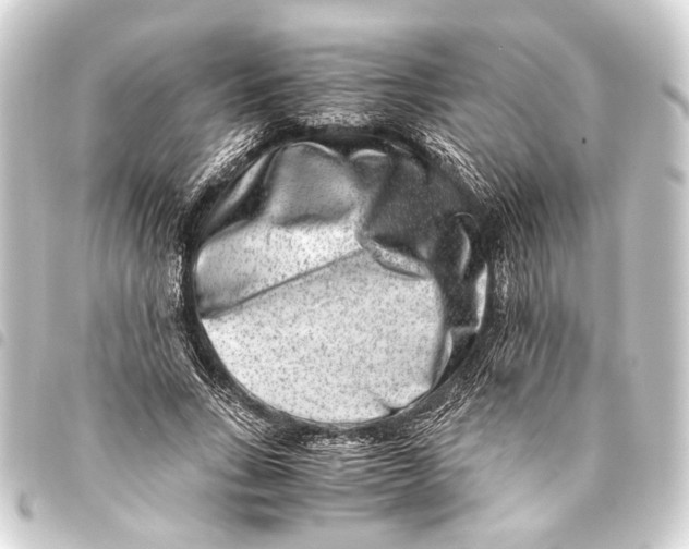 X0000093460735200711021134