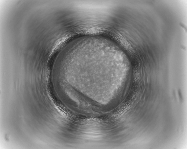 X0000093460736200711021134