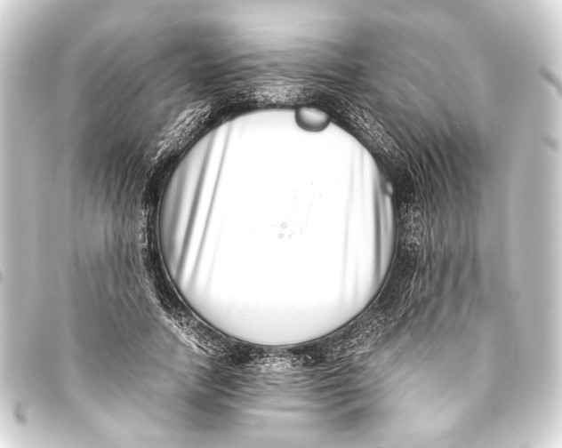 X0000093460738200711021134