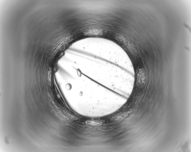 X0000093460739200711021134