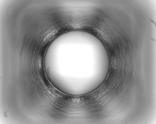 X0000093460740200711021134