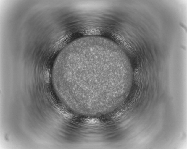 X0000093460741200711021134